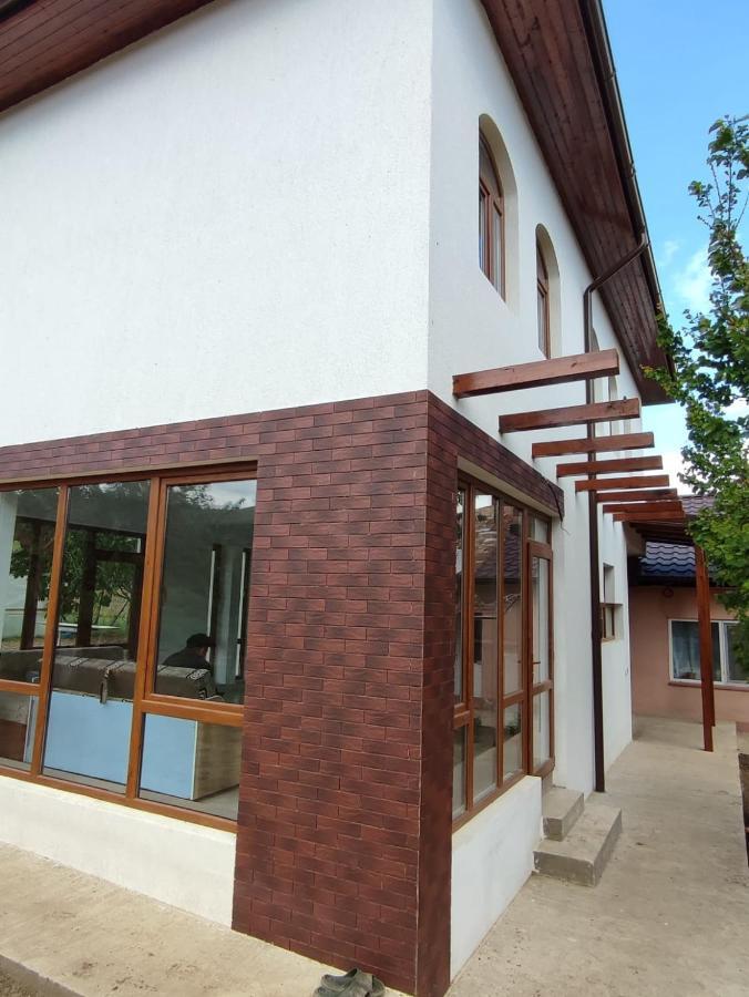 Agropensiunea Olteanu Niculitel Экстерьер фото